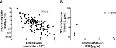 XAV-19, a Swine Glyco-Humanized Polyclonal Antibody Against SARS-CoV-2 Spike Receptor-Binding Domain, Targets Multiple Epitopes and Broadly Neutralizes Variants